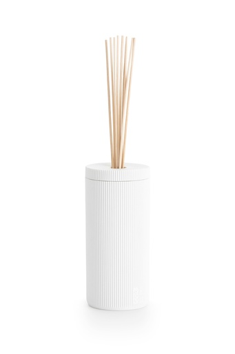 [COR- DF M 006] Fragrance Diffuser 006